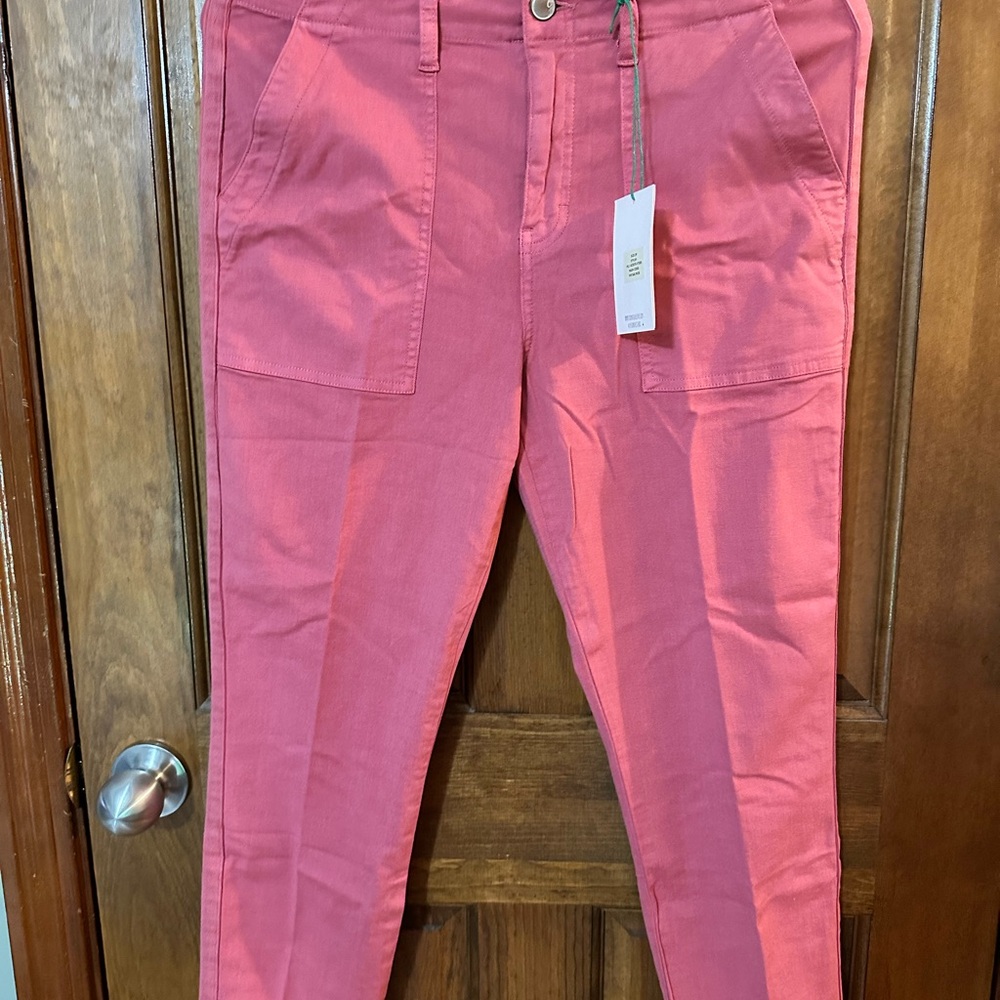 Cosmic Blue Love Rose Pants 29